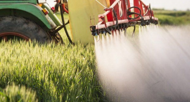 Správné hnojení ječmene. Instrukce